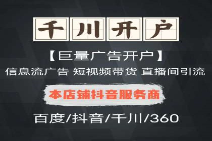 SEO与百度推广结合的营销策略——经典案例解析